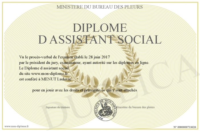 diplome assistant social